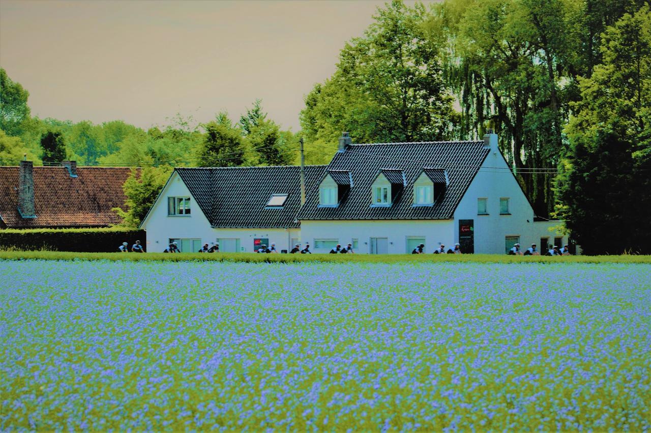 B&B Maison Kerkhove Eksteriør billede